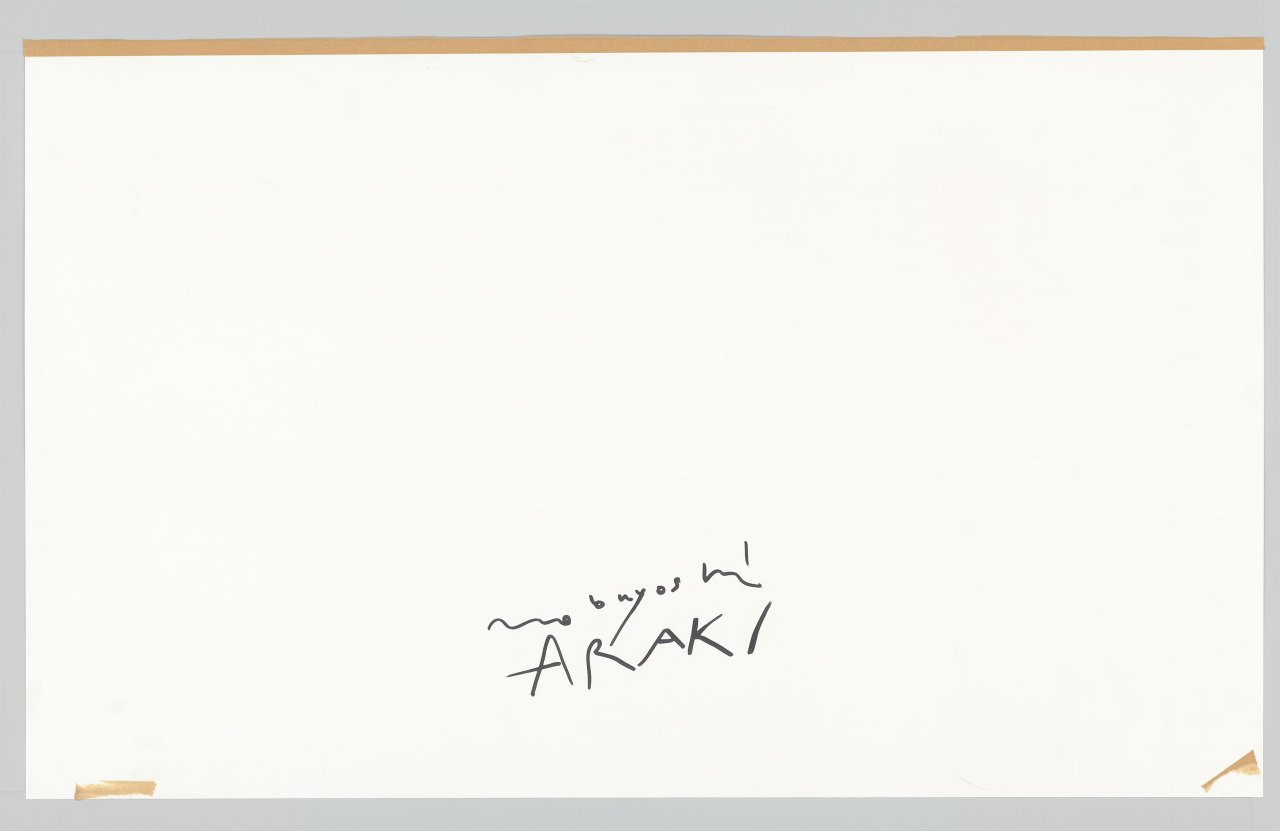 This picture shows the following artwork: Nobuyoshi Araki. [Shino]. Before 2000.