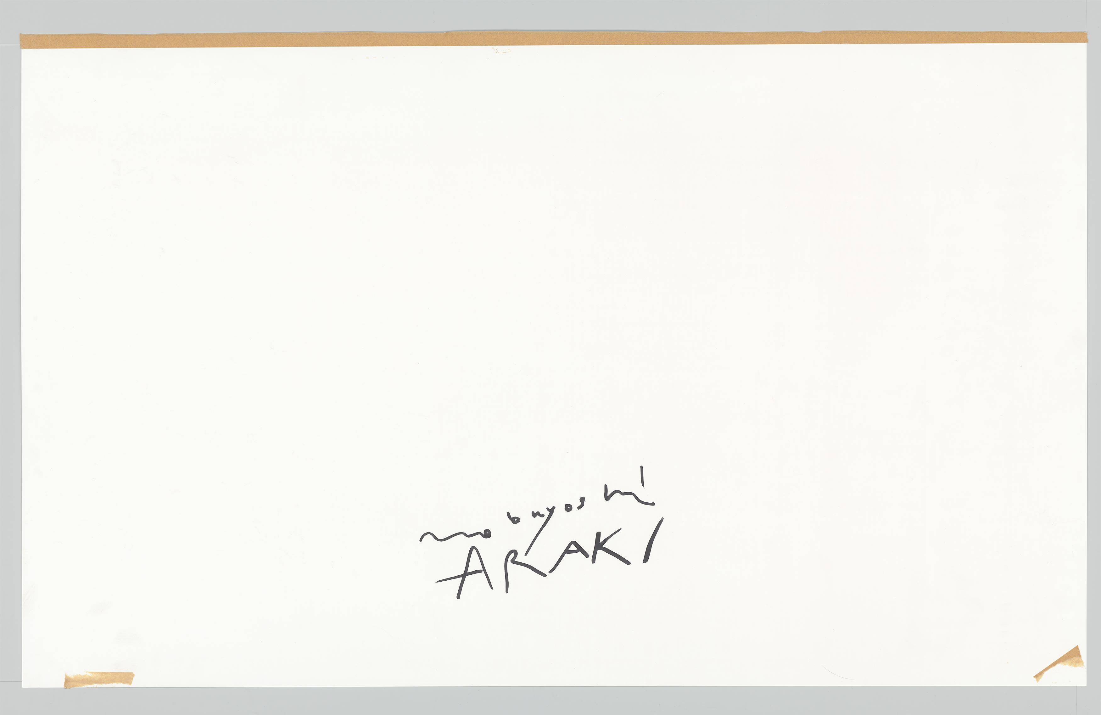 This picture shows the following artwork: Nobuyoshi Araki. [Shino]. Before 2000.
