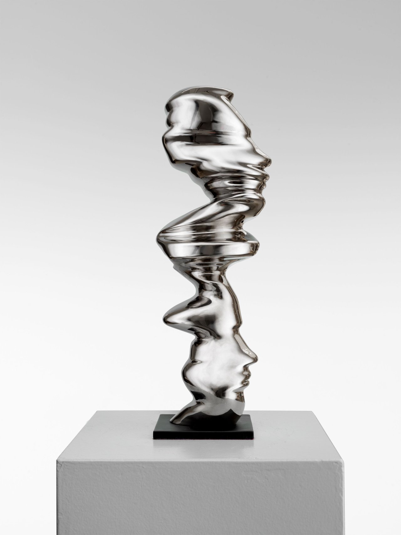 This picture shows the following artwork: Tony Cragg. ”Points of View”. 2013.