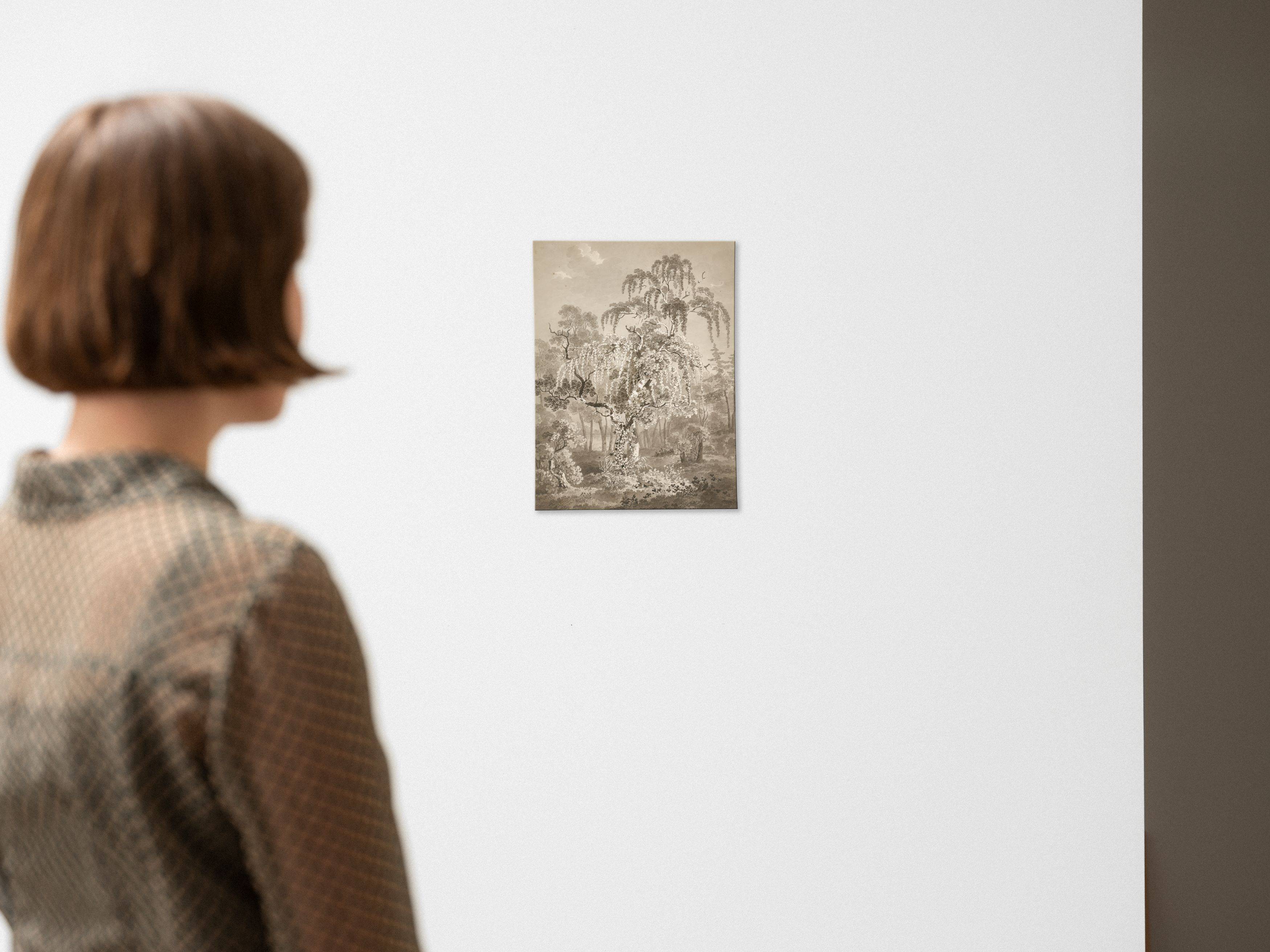 This picture shows the following artwork: Adrian Zingg. Wooded area with small pond.